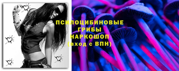 PSILOCYBIN Няндома