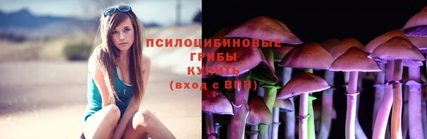 не бодяженный Осташков