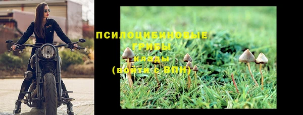 не бодяженный Осташков