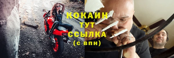 PSILOCYBIN Няндома
