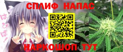 индика Беслан