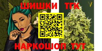 индика Беслан