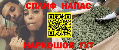 индика Беслан