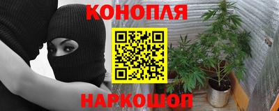 прущие крисы Берёзовский