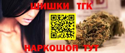 гашик Бийск