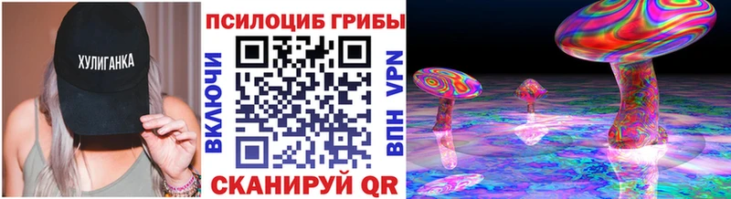Псилоцибиновые грибы Psilocybine cubensis  Дзержинск 