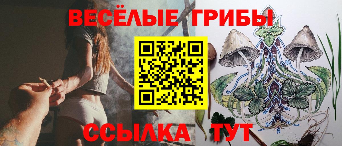 Галлюциногенные грибы Cubensis  Псилоцибиновые грибы мицелий  Дзержинск  Вход с VPN 
