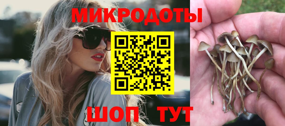 где продают   Галлюциногенные грибы прущие грибы  Дзержинск  Псилоцибиновые грибы мицелий 